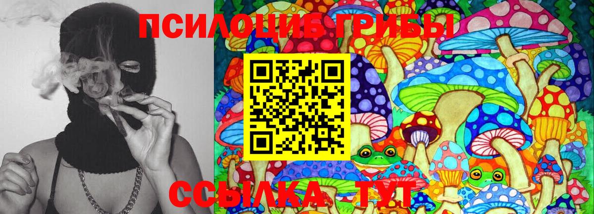 Выкса  Псилоцибиновые грибы мицелий  Вход с VPN  Псилоцибиновые грибы Psilocybine cubensis 